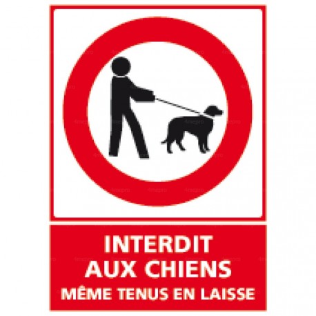 Panneau interdit aux chiens, Chiens non autorisés