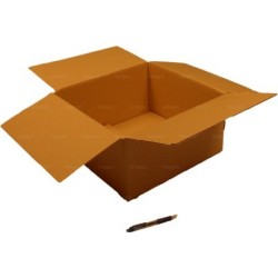 Caisses carton simple cannelure inf à 36 cm